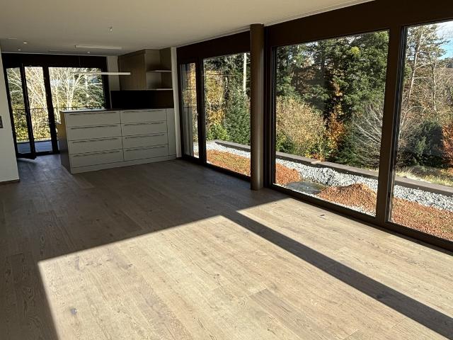 Rent a 3 ½ rooms attic flat in Aeugst am Albis Flatfox