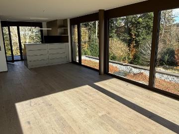 Rent a 3 ½ rooms attic flat in Aeugst am Albis Flatfox