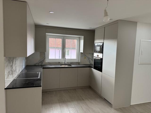Rent a 3 ½ rooms attic flat in Hallau Flatfox