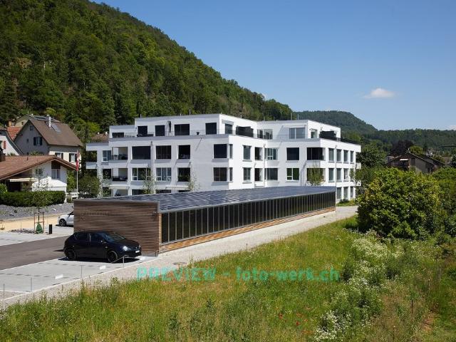Rent a 3 ½ rooms attic flat in Liestal Flatfox