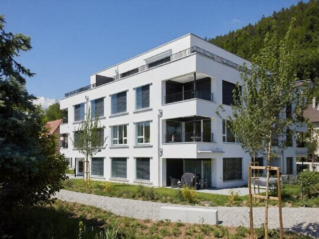 Rent a 3 ½ rooms attic flat in Liestal Flatfox