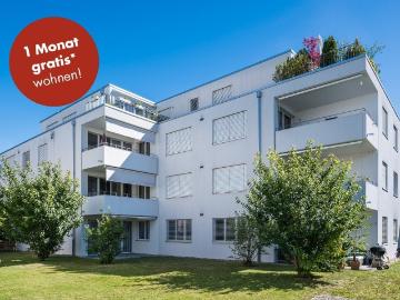 Rent a 3 ½ rooms attic flat in Solothurn Flatfox