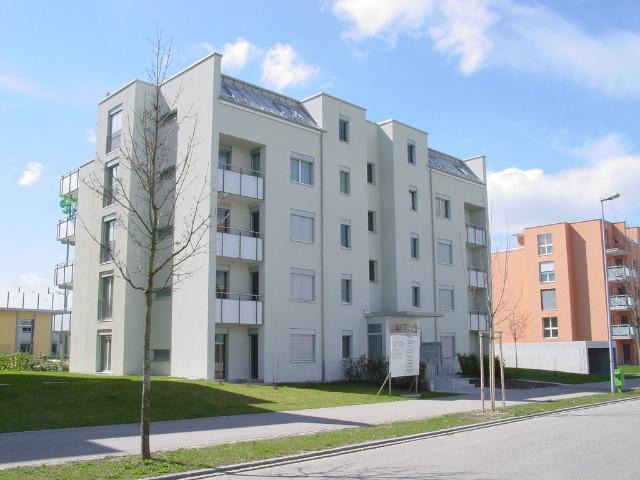 Rent a 3 ½ rooms attic flat in Volketswil Flatfox
