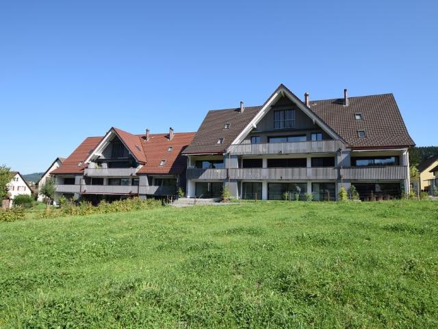 Rent a 3 ½ rooms duplex in Aesch ZH Flatfox