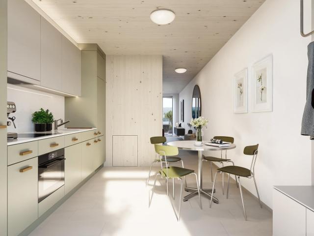 Rent a 3 ½ rooms duplex in Affoltern am Albis Flatfox