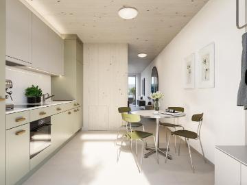 Rent a 3 ½ rooms duplex in Affoltern am Albis Flatfox