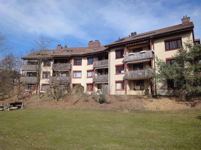 Rent a 3 ½ rooms duplex in Berikon Flatfox