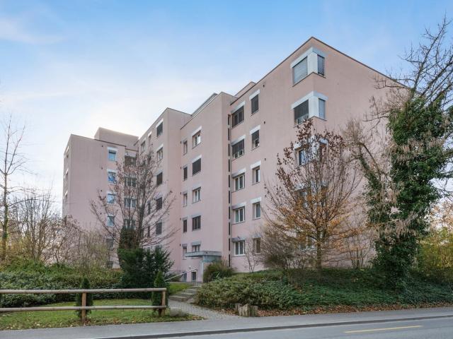 Rent a 3 ½ rooms duplex in Frauenfeld Flatfox