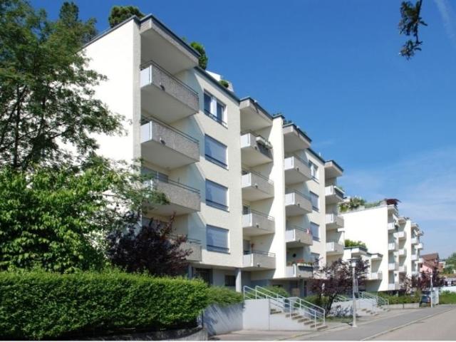 Rent a 3 ½ rooms duplex in Horgen Flatfox