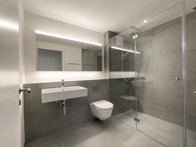 Rent a 3 ½ rooms duplex in Schönenbuch Flatfox