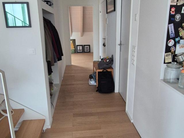 Rent a 3 ½ rooms duplex in Witterswil Flatfox
