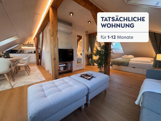 Rent a 3 rooms furnished flat in Zürich Flatfox
