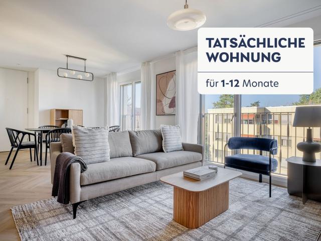 Rent a 3 ½ rooms furnished flat in Zürich Flatfox