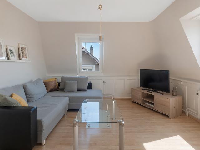 Rent a 3 rooms furnished flat in Arbon Flatfox
