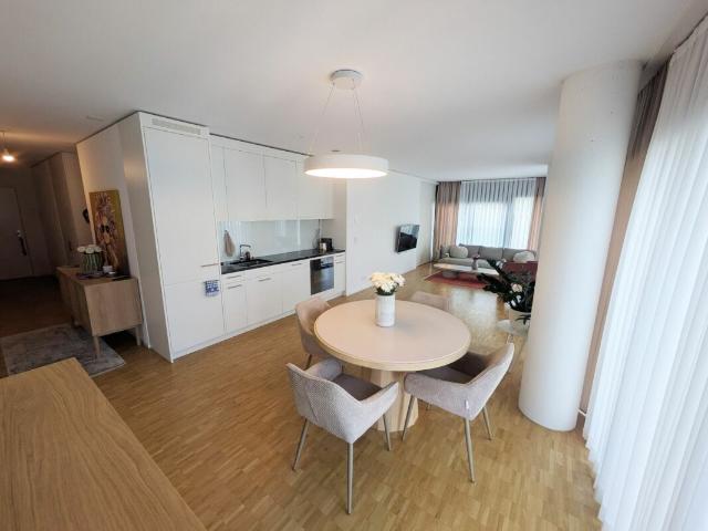 Rent a 3 ½ rooms furnished flat in Basel Flatfox