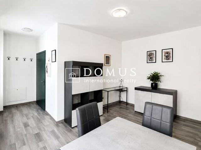 Rent a 3 rooms furnished flat in Chiasso Flatfox