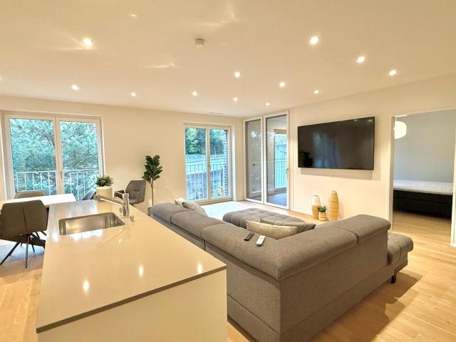 Rent a 3 rooms furnished flat in Luzern Flatfox