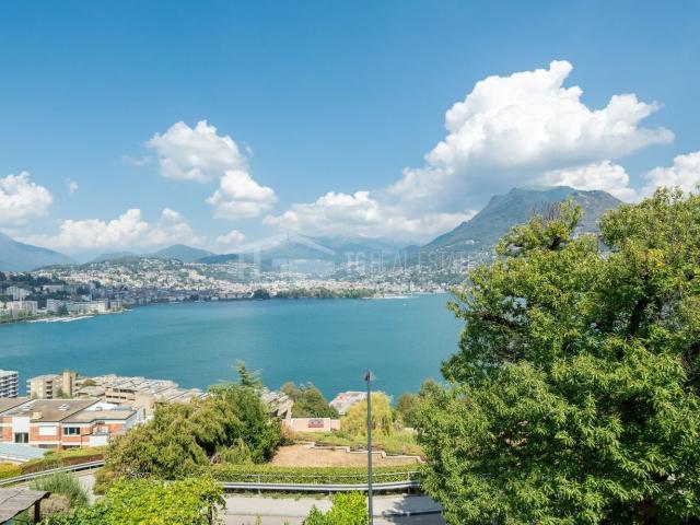 Rent a 3 ½ rooms furnished flat in Paradiso Flatfox