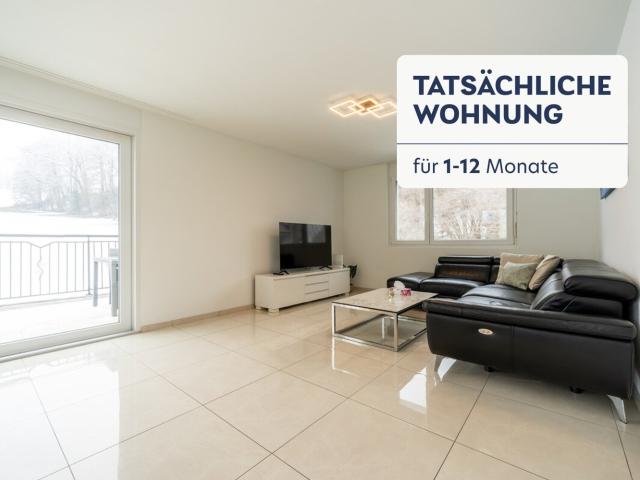 Rent a 3 rooms furnished flat in Safenwil Flatfox