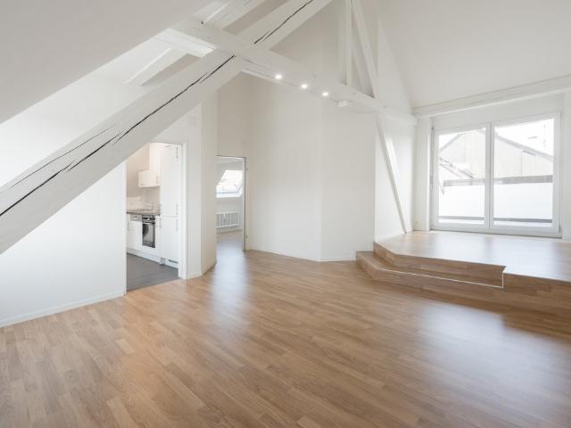 Rent a 3 ½ rooms roof flat in Basel Flatfox