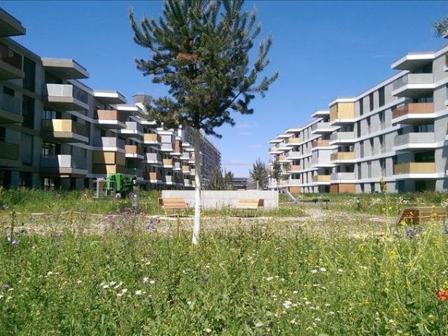Rent a 3 ½ rooms roof flat in Basel Flatfox