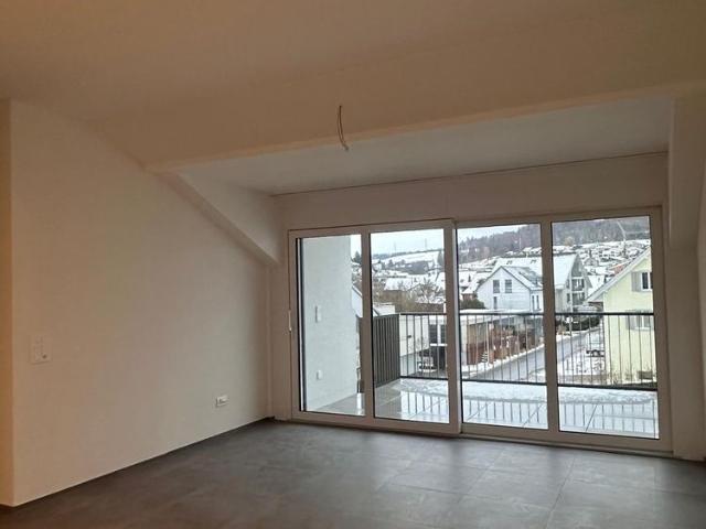 Rent a 3 ½ rooms roof flat in Endingen