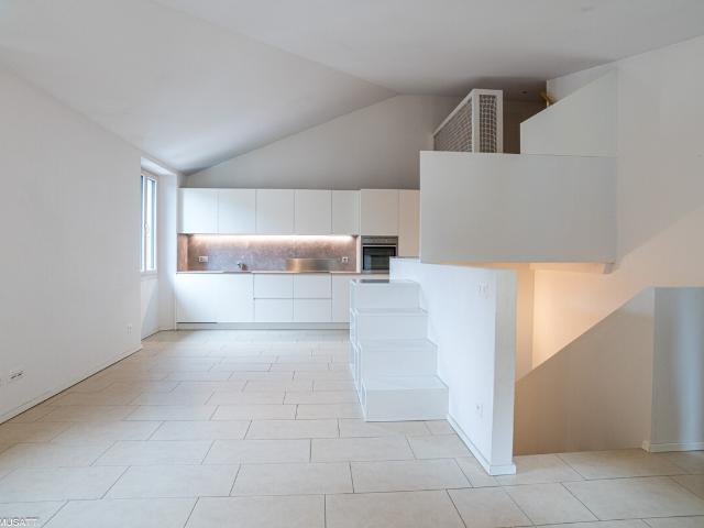 Rent a 3 ½ rooms roof flat in Melano Flatfox