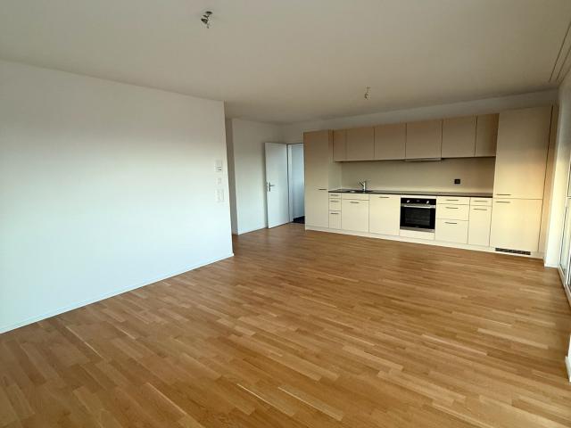 Rent a 3 ½ rooms roof flat in Rebstein Flatfox