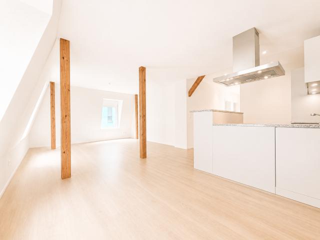 Rent a 3 ½ rooms roof flat in Zürich Flatfox