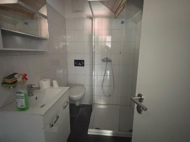 Rent a 3 ½ rooms roof flat in Zürich Flatfox