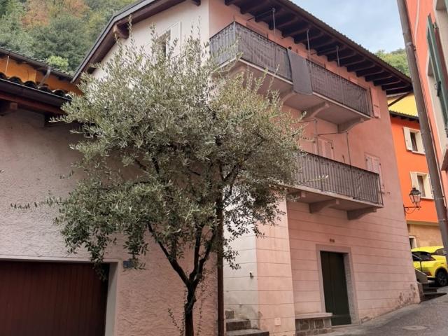 Rent a 3 rooms single house in Melide Flatfox