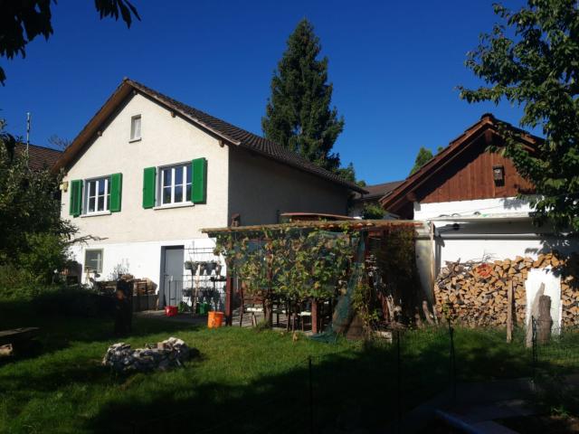 Rent a 3 rooms single house in Niederweningen Flatfox