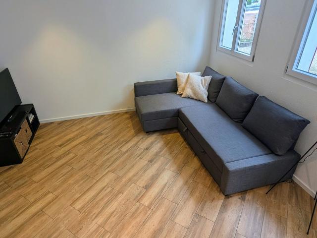 Rent a 3 ½ rooms single house in Romanshorn Flatfox