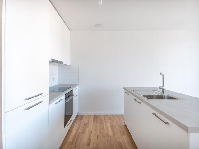 Rent a 14 ½ rooms apartment in Renens VD Flatfox