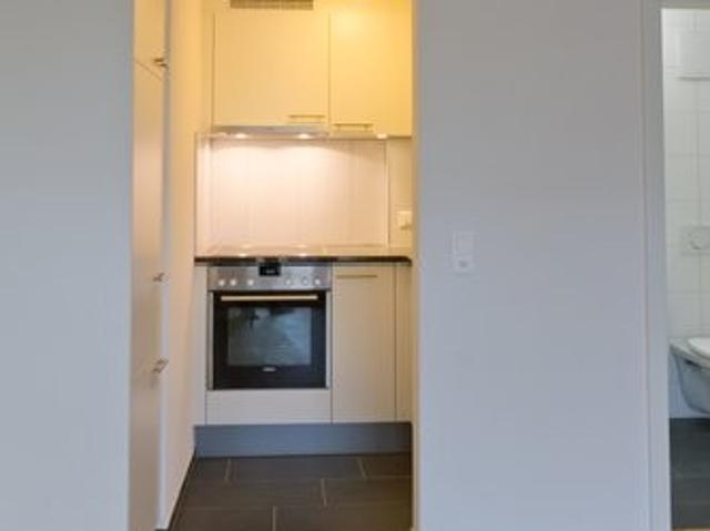 Rent a 1 room apartment in Thun Flatfox