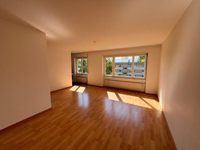 Rent a 1 room apartment in Thun Flatfox