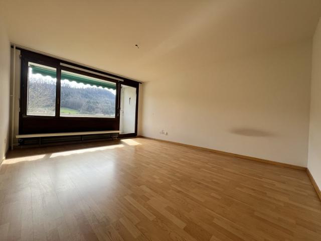 Rent a 1 room apartment in Trimbach Flatfox