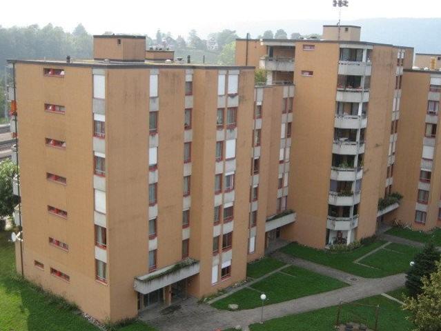 Rent a 1 room apartment in Turgi Flatfox