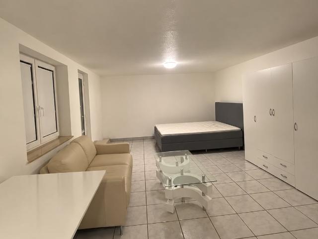 Rent a 1 room apartment in Wangen Brüttisellen Flatfox