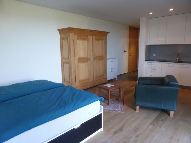 Rent a 1 room apartment in Winterberg ZH Flatfox