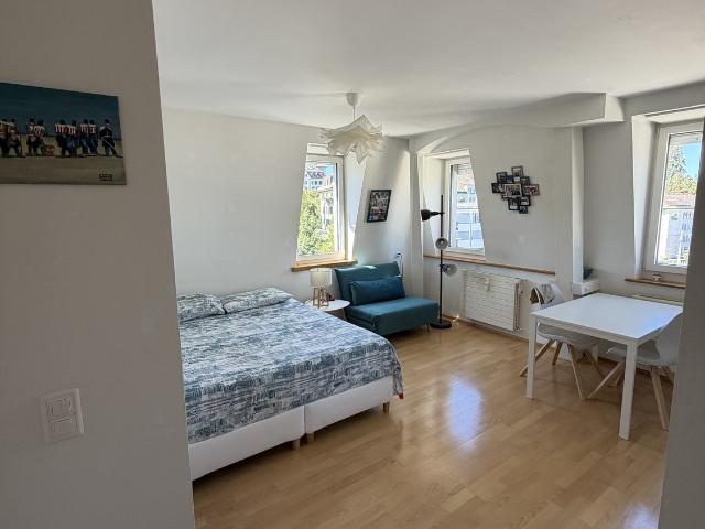 Rent a 1 room apartment in Zurich Flatfox