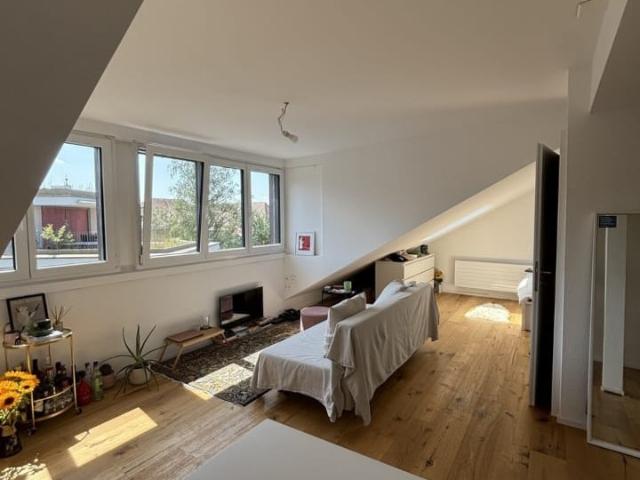 Rent a 1 room apartment in Zurich Flatfox