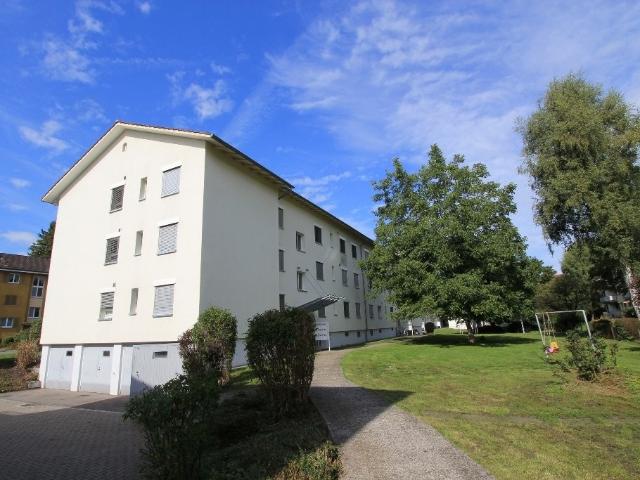 Rent a 1 room apartment in Zürich Flatfox