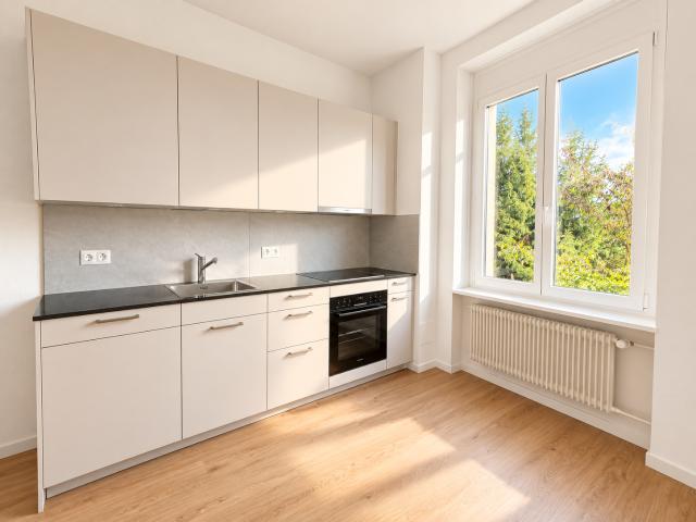 Rent a 1 room apartment in Zürich Flatfox