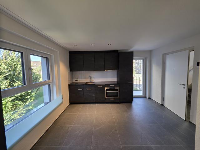 Rent a 1 room apartment in Zürich Flatfox