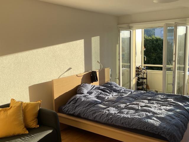 Rent a 1 room apartment in Zürich Flatfox