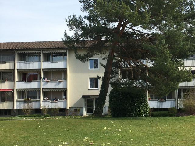 Rent a 1 room apartment in Zürich Flatfox