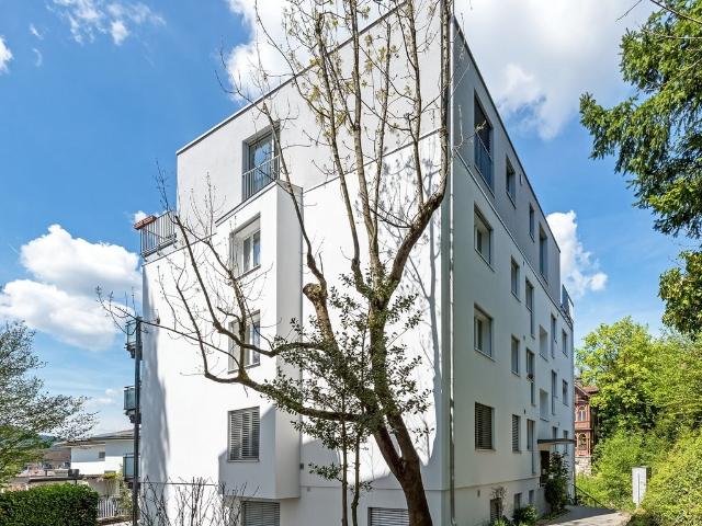 Rent a 1 room apartment in Zürich Flatfox