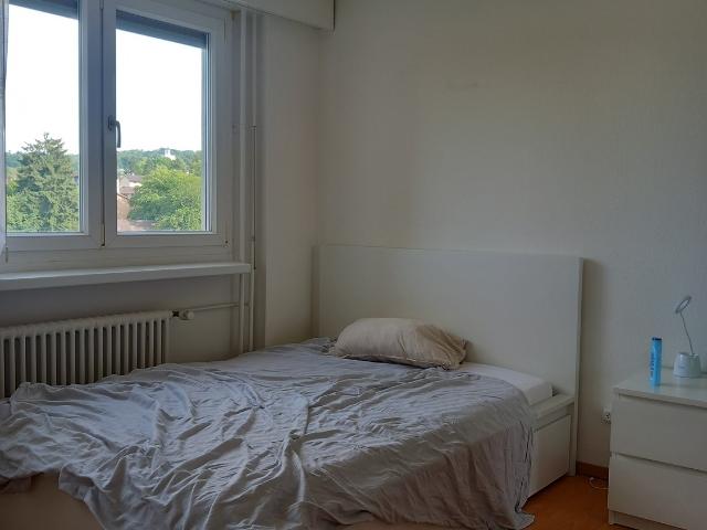 Rent a 1 room apartment in Zürich Flatfox