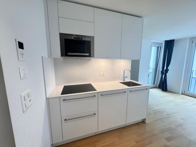 Rent a 1 room apartment in Zürich Flatfox